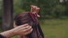The Autumn Edit homepage hero loop